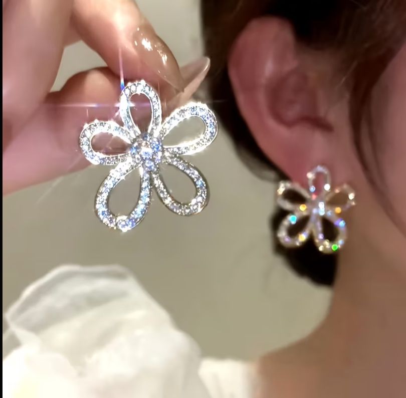 1 Pair of Women's fashionable Earrings